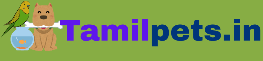 tamilpets.in